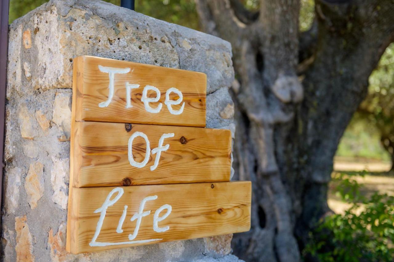 Tree Of Life Villa Valerianos Bagian luar foto