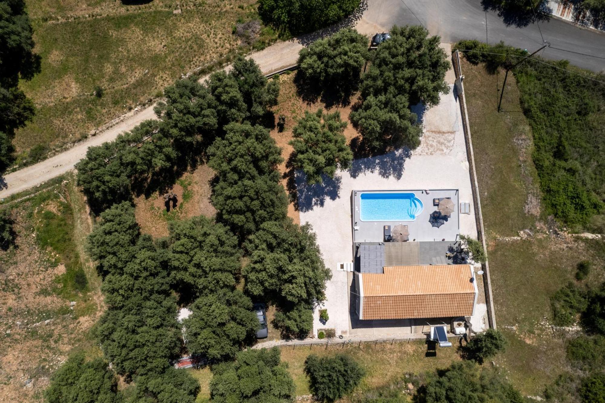 Tree Of Life Villa Valerianos Bagian luar foto