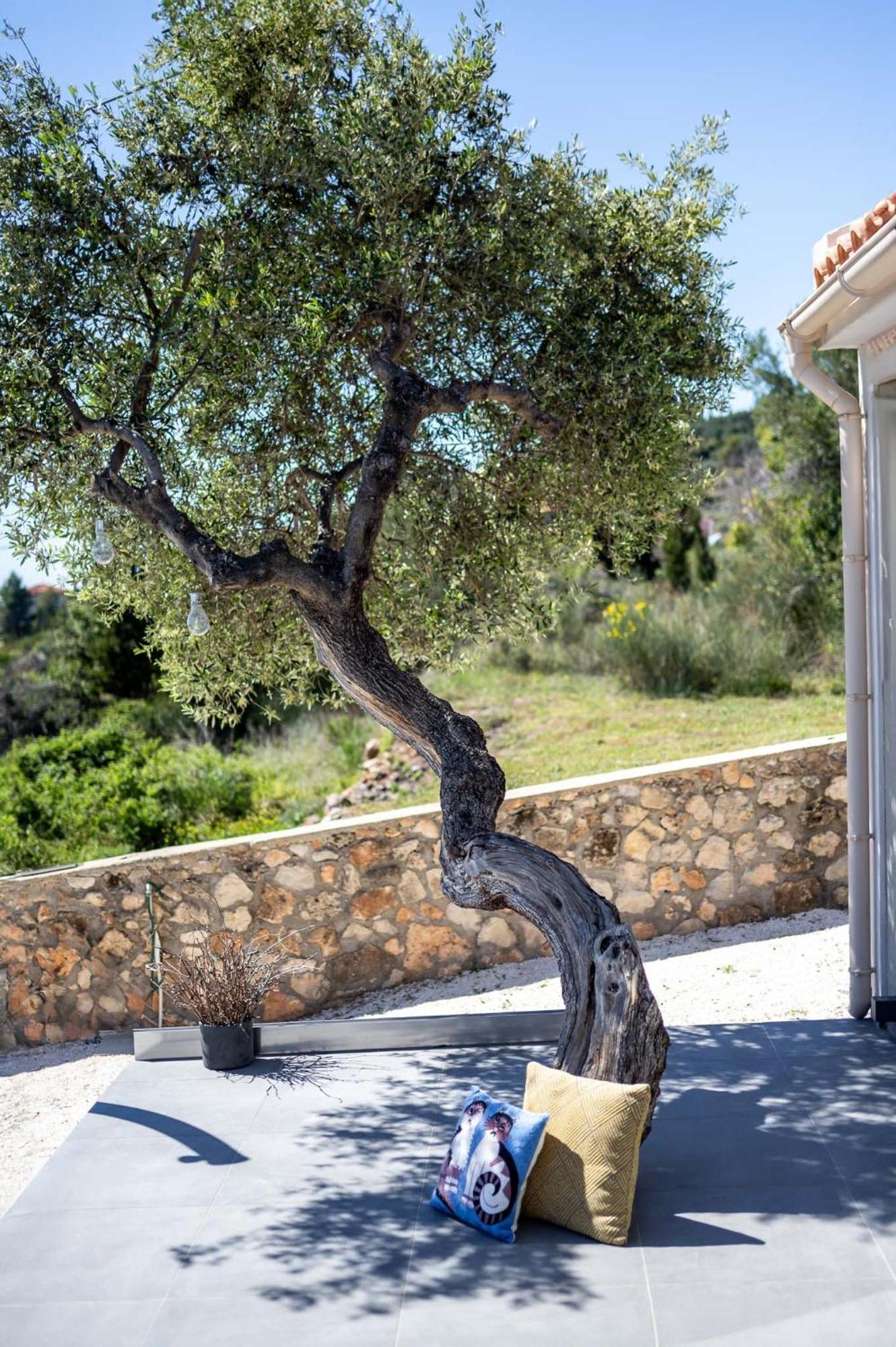 Tree Of Life Villa Valerianos Bagian luar foto